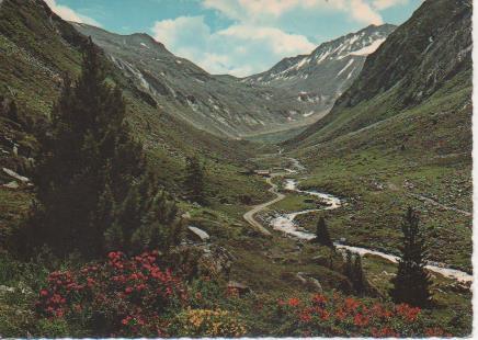 Postal E06498: Zillergrund.Zillertal,Tirol