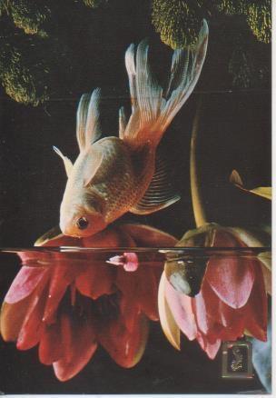 Postal E06618: Pez de acuario