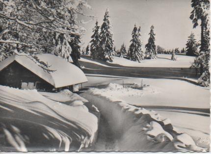 Postal E06390: Jura L'Hiver