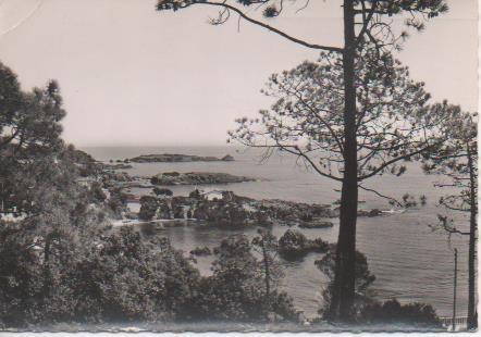 Postal E06399: Agay-Bord de mer et calanques