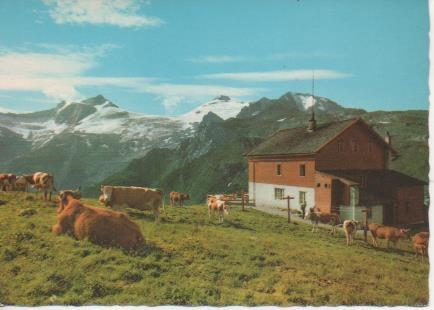 Postal E06475: des Österreichischen Tourisenklub, Wien Hintertux, Zillertal, Tirol. Tuserjoch-Haus