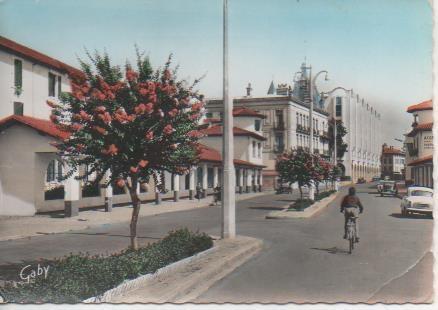 Postal E06450: Le Boulevard Thermal Lagerstroémia en fleurs-Dax. Landes
