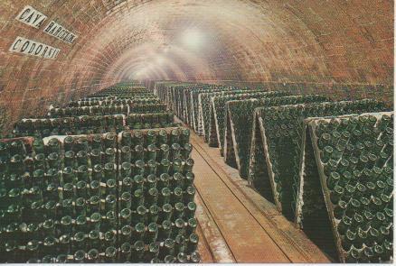 Postal E05790: Botellas en pupitre.Cava Codorniu <acordeón>