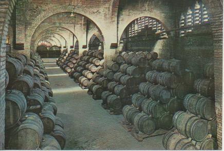 Postal E05767: Una bodega.Cavas Codorniu <acordeón>