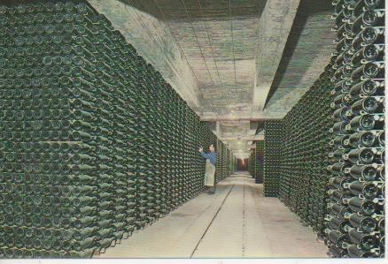 Postal E05769: Botellas envejeciendo. Cavas Codorniu <acordeón>
