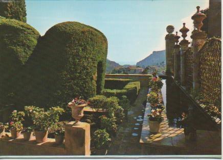 Postal E05831: Jardín de la celda de Chopin-Vlldemosa.Mallorca <acordeón>