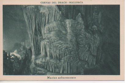 Postal E05679: Macizo arborescente-Cuevas del Drach-Mallorca
