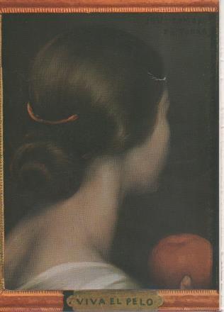Postal E05688: !Viva el Pelo!-Museo Romero de Torres. Córdoba<acordeón>