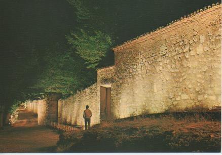 Postal E06008: Aspecto nocturno Monasterio de Piedra. Zaragoza