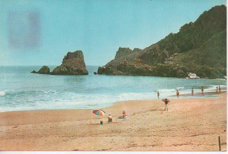 Postal E06080: Playa de Laga-Ibarranguelua.Vizcaya