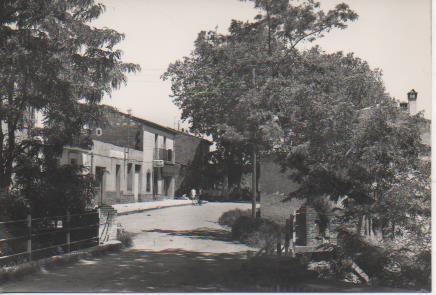 Postal E05892: Postal B/N Sortida del poble. Sant Pere de Vilamahor