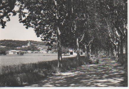 Postal E05893: Postal B/N Vista desde la carretera de Llinars. Sant Pere de Vilamajor