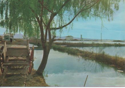 Postal E05955: Paisaje de la Albufera. Valencia