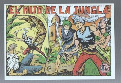 Ficha/Cromo/Lamina etc:  El Hijo de la Jungla, edicion en tomitos