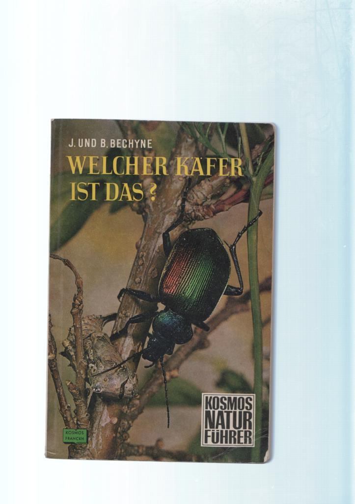 Welcher Kafer ist Das