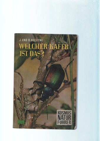 Welcher Kafer ist Das