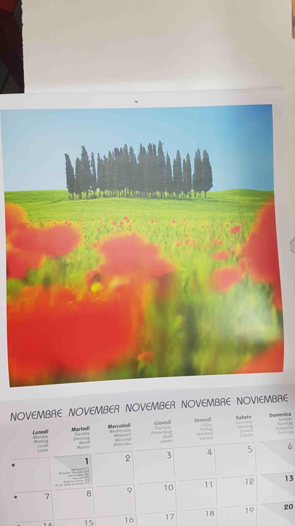 Calendario / Kalender / Calendrier / Calendar: 2011 : Tuscany (La toscana): LAMINA numero 11