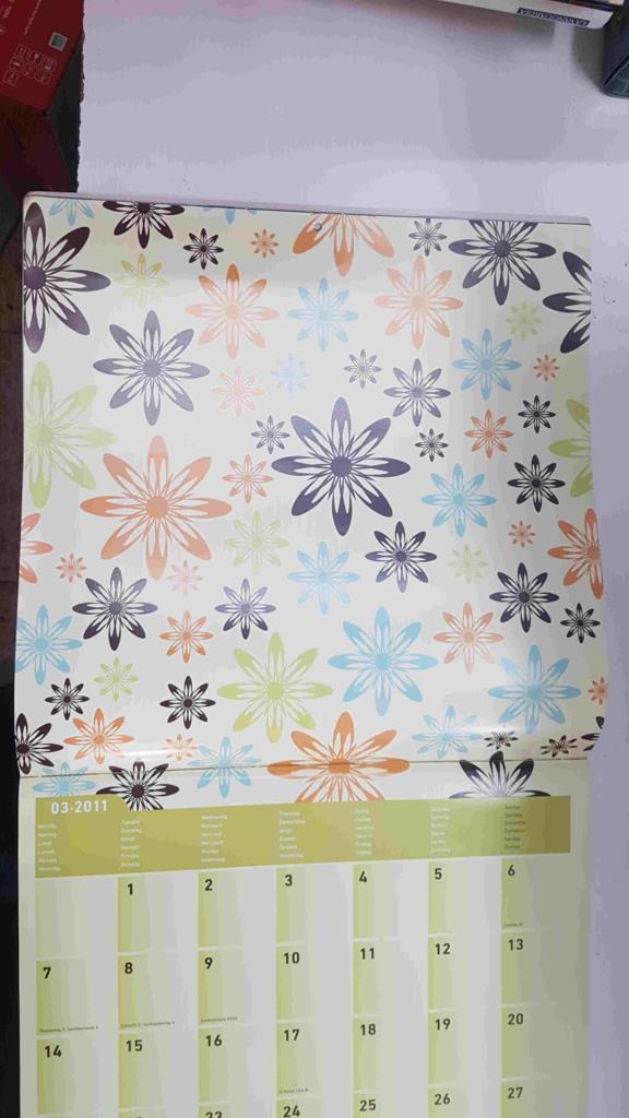 Calendario / Kalender / Calendrier / Calendar: 2011 : Patterns (patrones) lamina 03
