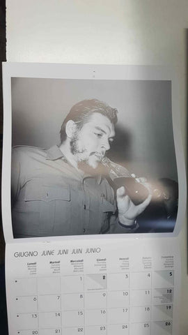 Calendario / Kalender / Calendrier / Calendar: 2011 : Che Guevara, lamina 06