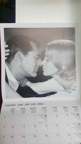 Calendario / Kalender / Calendrier / Calendar: 2011 : Cinefilms (peliculas b/n) - lamina numero 06