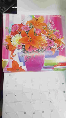 Calendario / Kalender / Calendrier / Calendar: 2011 : Flores - lamina num 01