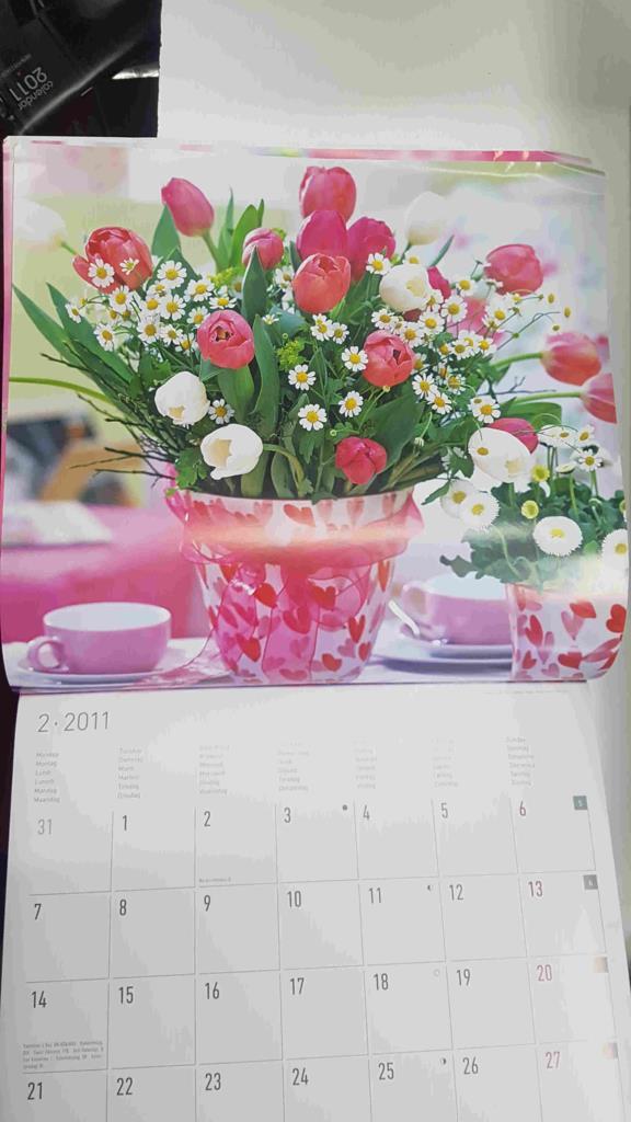 Calendario / Kalender / Calendrier / Calendar: 2011 : Flores - lamina num 02