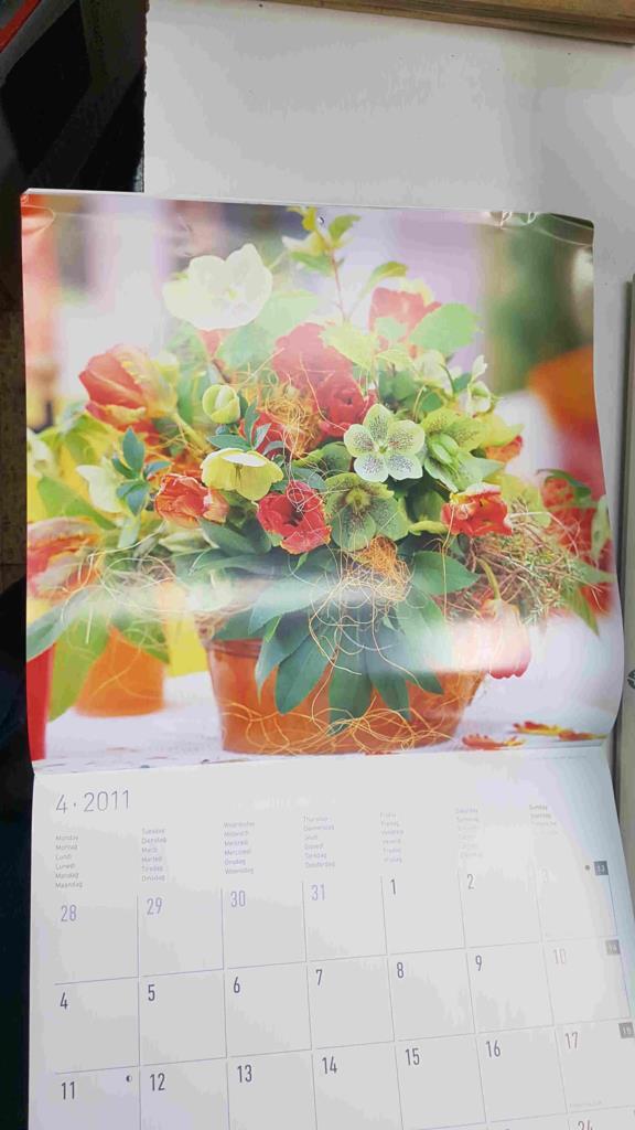 Calendario / Kalender / Calendrier / Calendar: 2011 : Flores - lamina num 04
