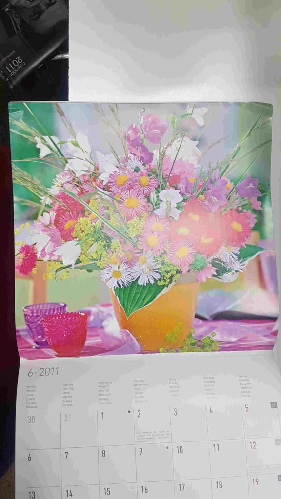 Calendario / Kalender / Calendrier / Calendar: 2011 : Flores - lamina num 06