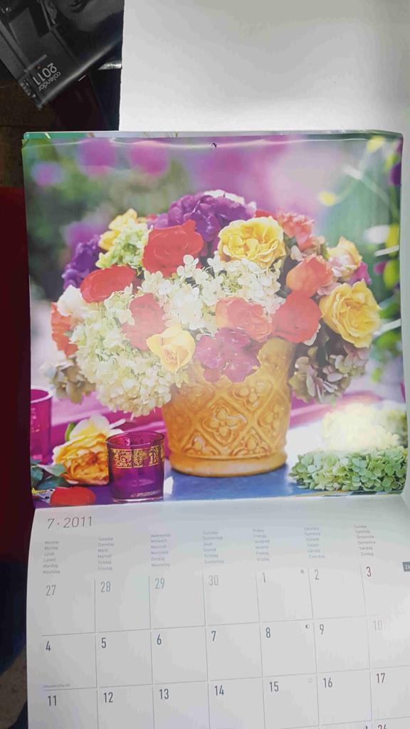 Calendario / Kalender / Calendrier / Calendar: 2011 : Flores - lamina num 07