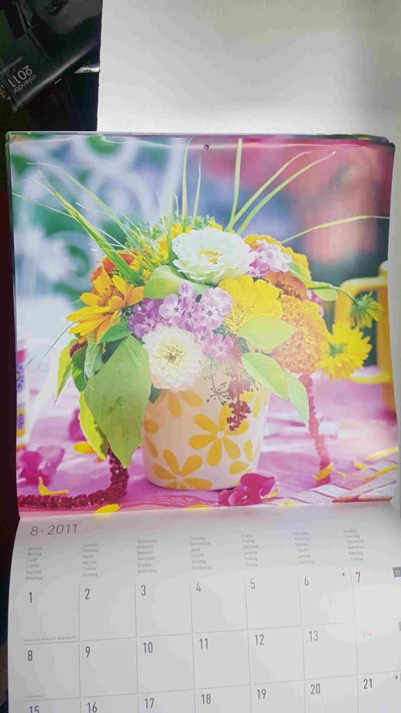 Calendario / Kalender / Calendrier / Calendar: 2011 : Flores - lamina num 08