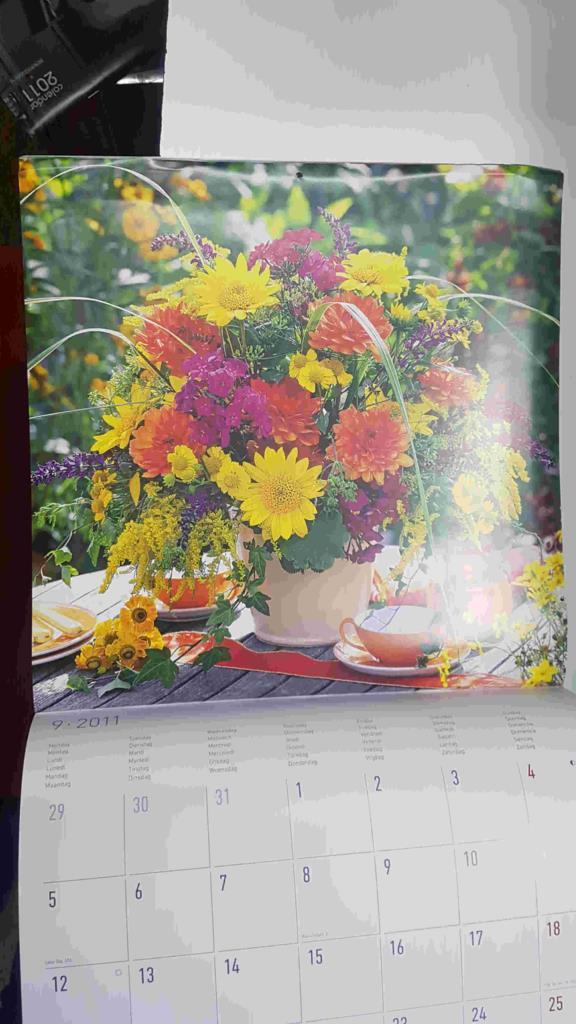 Calendario / Kalender / Calendrier / Calendar: 2011 : Flores - lamina num 09