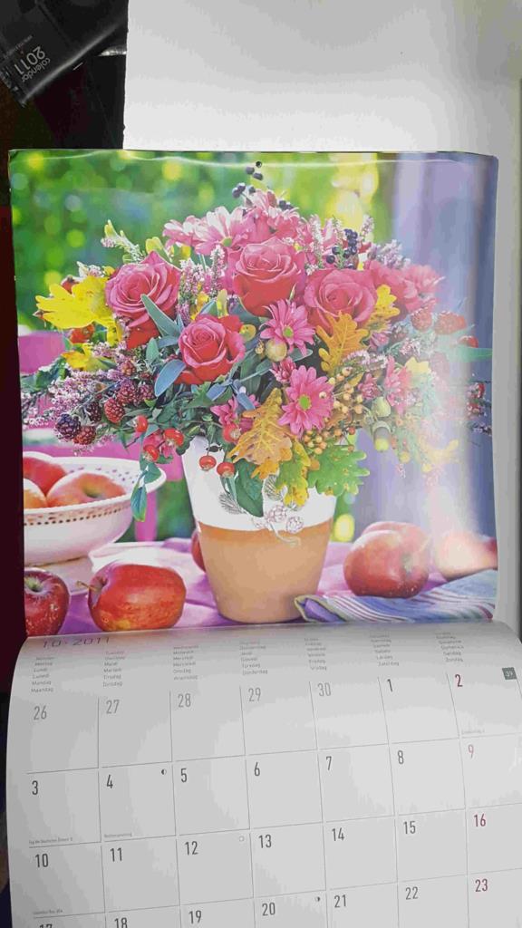 Calendario / Kalender / Calendrier / Calendar: 2011 : Flores - lamina num 10