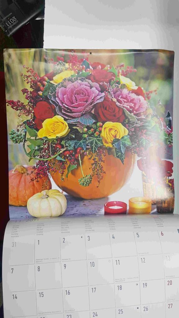 Calendario / Kalender / Calendrier / Calendar: 2011 : Flores - lamina num 11