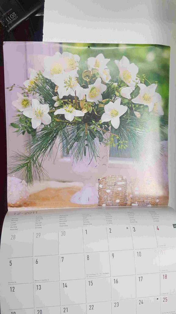 Calendario / Kalender / Calendrier / Calendar: 2011 : Flores - lamina num 12