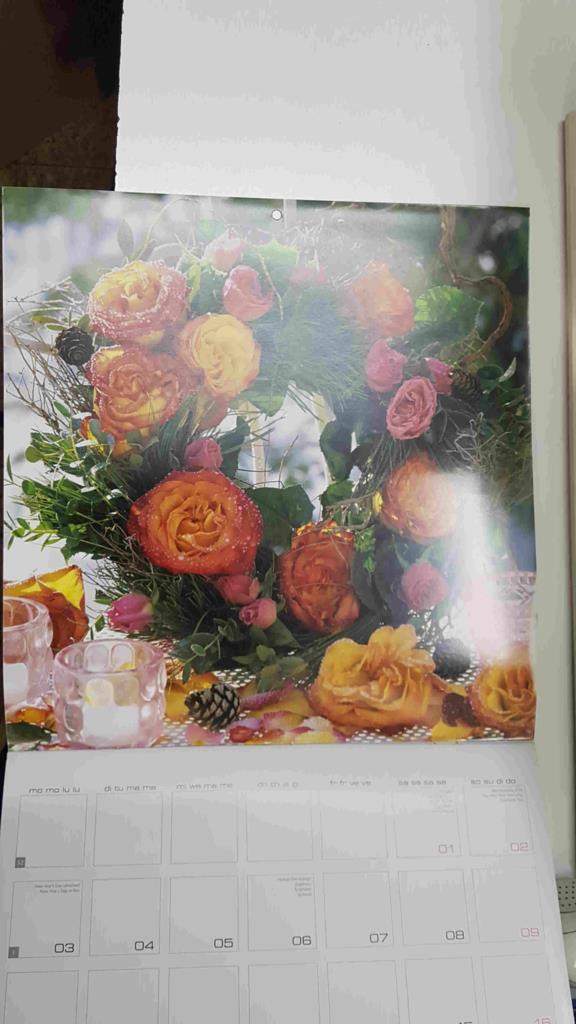 Calendario / Kalender / Calendrier / Calendar: 2011 : Lovely Roses (Rosas) - lamina 01