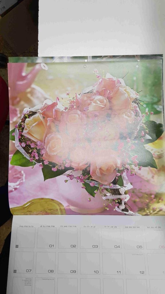 Calendario / Kalender / Calendrier / Calendar: 2011 : Lovely Roses (Rosas) - lamina 02