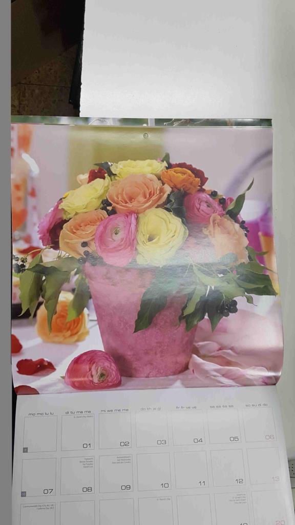 Calendario / Kalender / Calendrier / Calendar: 2011 : Lovely Roses (Rosas) - lamina 03