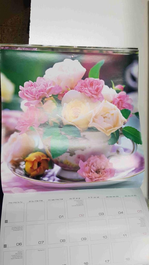 Calendario / Kalender / Calendrier / Calendar: 2011 : Lovely Roses (Rosas) - lamina 06