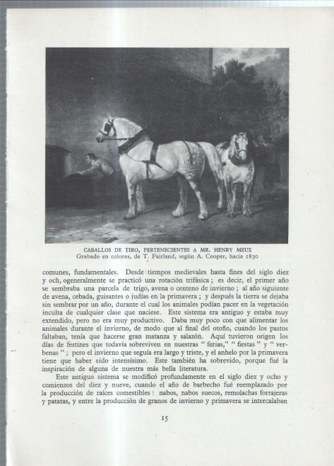 La Agricultura Inglesa: Lamina numerada 05: Caballo de tiro de Henry Meux