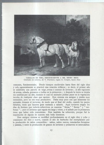 La Agricultura Inglesa: Lamina numerada 05: Caballo de tiro de Henry Meux