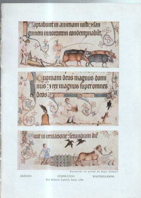 La Agricultura Inglesa: Lamina numerada 10: Arando, sembrando, rastrillando,segando,escardando, desterronando 