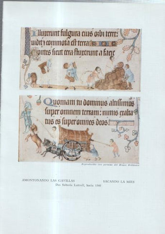 La Agricultura Inglesa: Lamina numerada 11: La feria de caballo de Lincoln, Sacando la mies, amontonando las gavillas