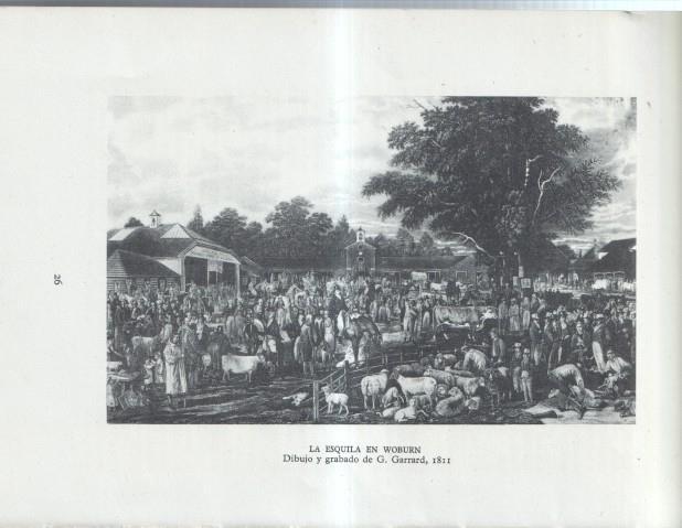 La Agricultura Inglesa: Lamina numerada 17: La esquila en Woburn, grabado de G.Garrard