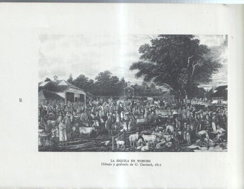 La Agricultura Inglesa: Lamina numerada 17: La esquila en Woburn, grabado de G.Garrard