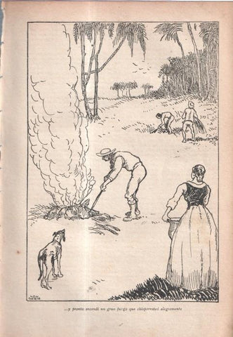 El Robinson Suizo (ilustracion de Longoria): Lamina numerada 18