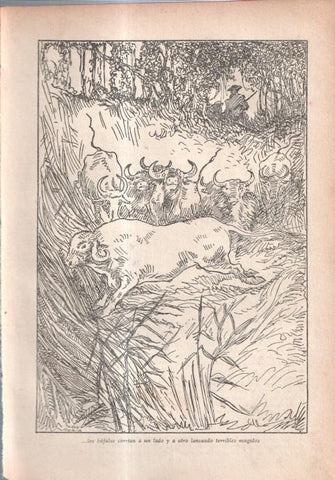 El Robinson Suizo (ilustracion de Longoria): Lamina numerada 21