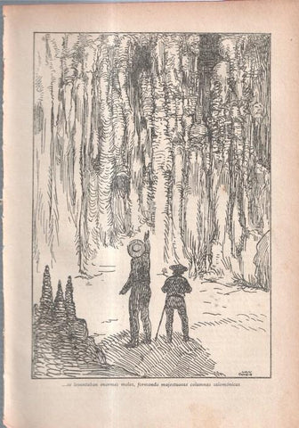 El Robinson Suizo (ilustracion de Longoria): Lamina numerada 22