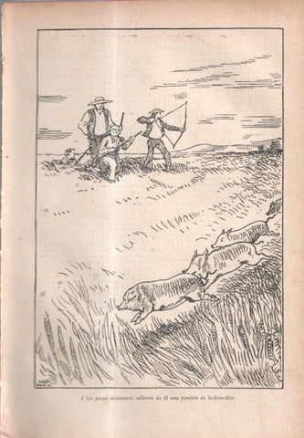 El Robinson Suizo (ilustracion de Longoria): Lamina numerada 24