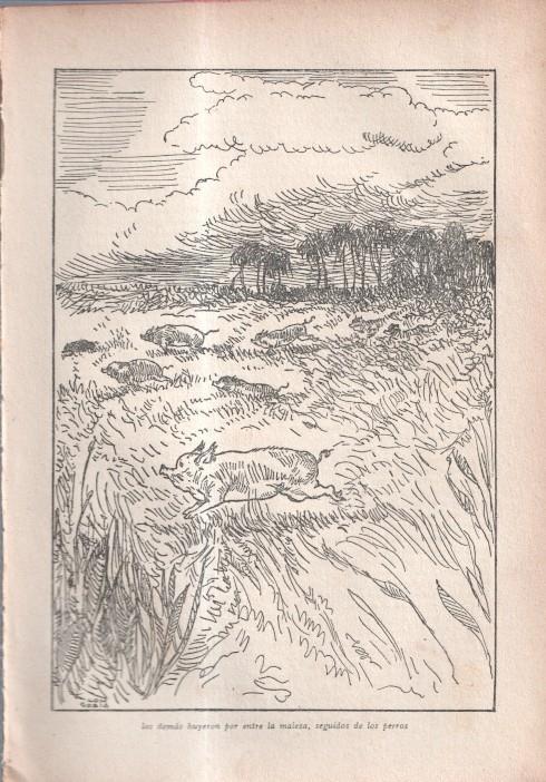 El Robinson Suizo (ilustracion de Longoria): Lamina numerada 25