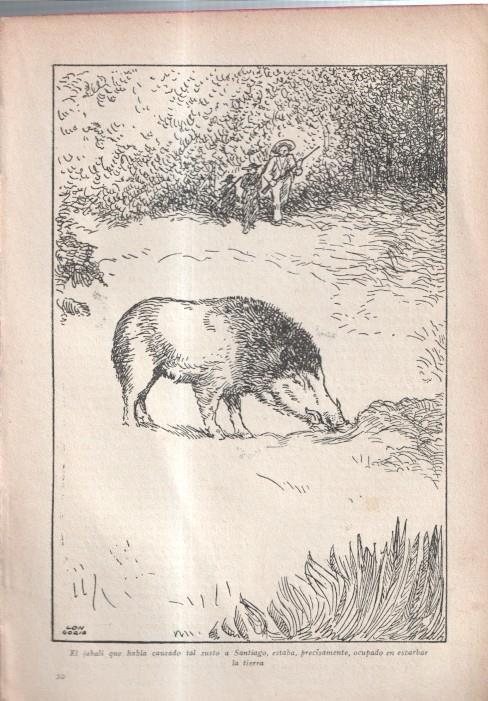 El Robinson Suizo (ilustracion de Longoria): Lamina numerada 26